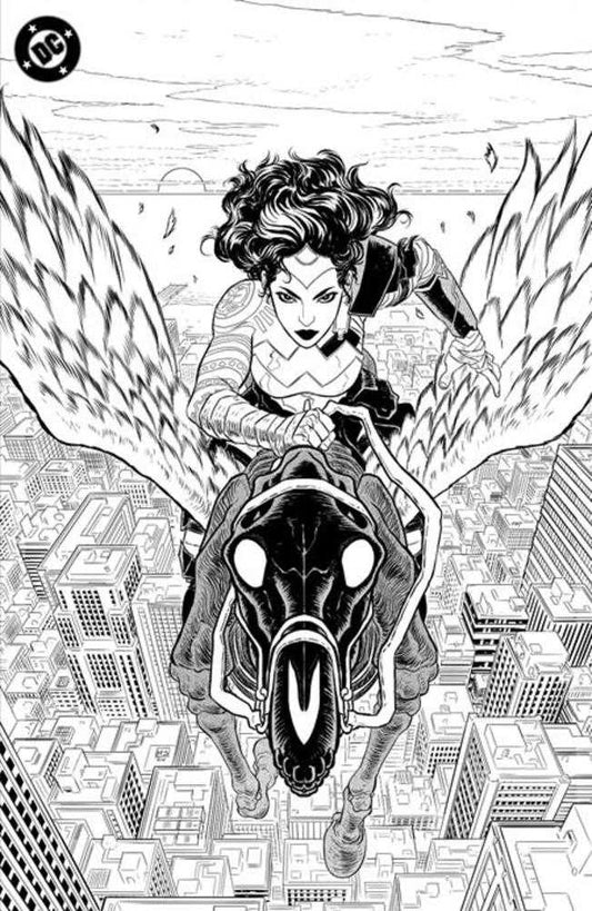 Absolute Wonder Woman Noir Edition #1 Cover C Hayden Sherman Foil Variant (11/27/2024)