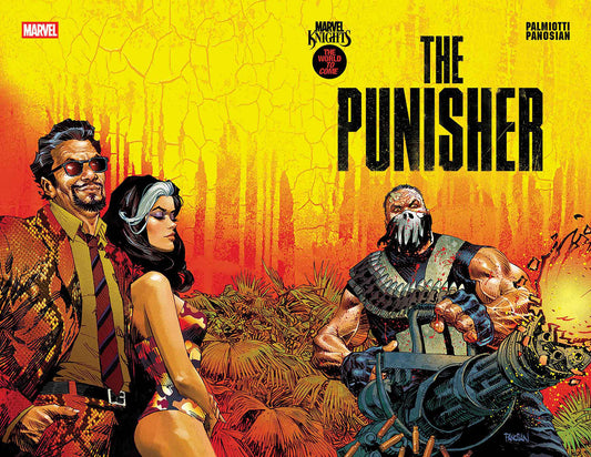 Marvel Knights: Punisher #3 Dan Panosian Main
