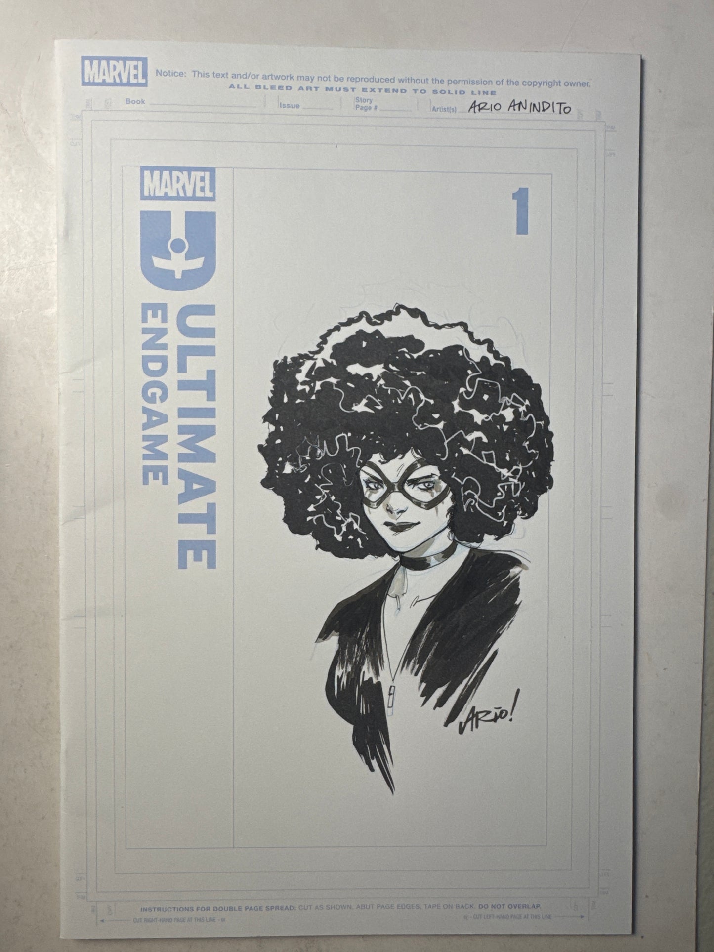 Ultimate Endgame #1 Ario Anindito 1 of 1 Artist Sketch (12/31/25) Minor Tics