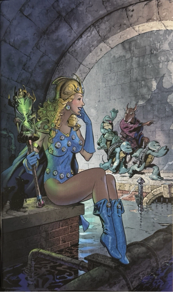 Teenage Mutant Ninja Turtles #20: 300th Michael Dooney Virgin